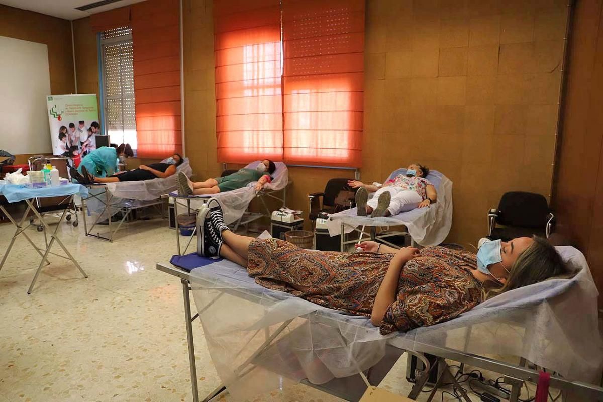 Semana del Donante: campaña especial de donación de sangre y de plasma