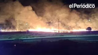 Arden de madrugada cuatro hectáreas entre Mejostilla, Cáceres el Viejo y Gredos