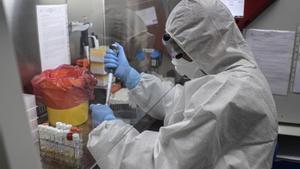 Troben en ratpenats russos un virus similar a la covid i que resisteix a les vacunes