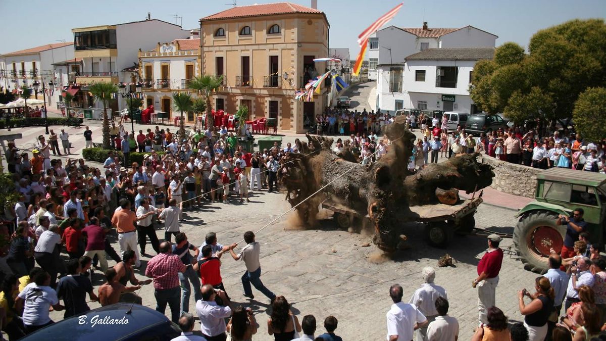 Fotogalería | Los quintos de Aldea del Cano mantienen viva una tradición con raíces centenarias: El Tuero