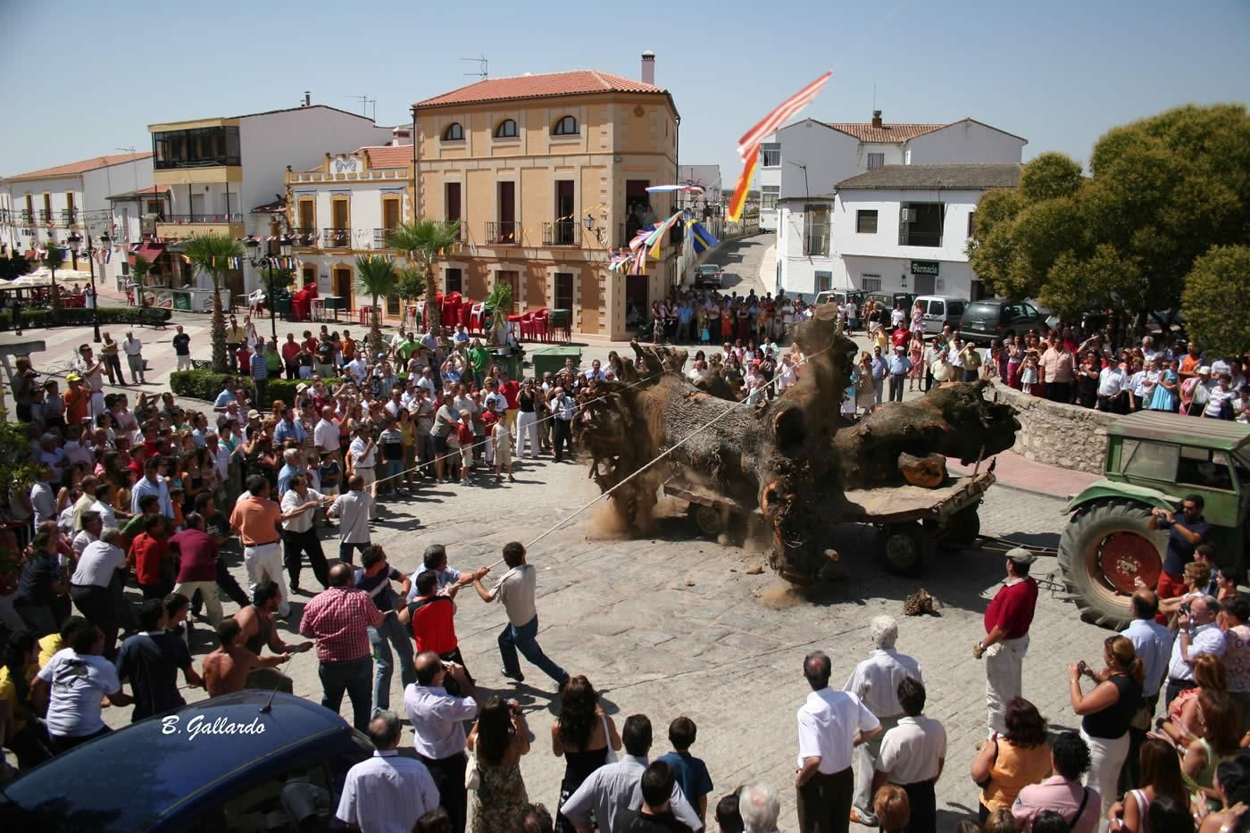 Fotogalería | Los quintos de Aldea del Cano mantienen viva una tradición con raíces centenarias: El Tuero