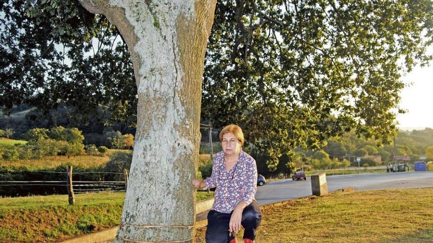 Magdalena Gallardo, junto al árbol dañado.