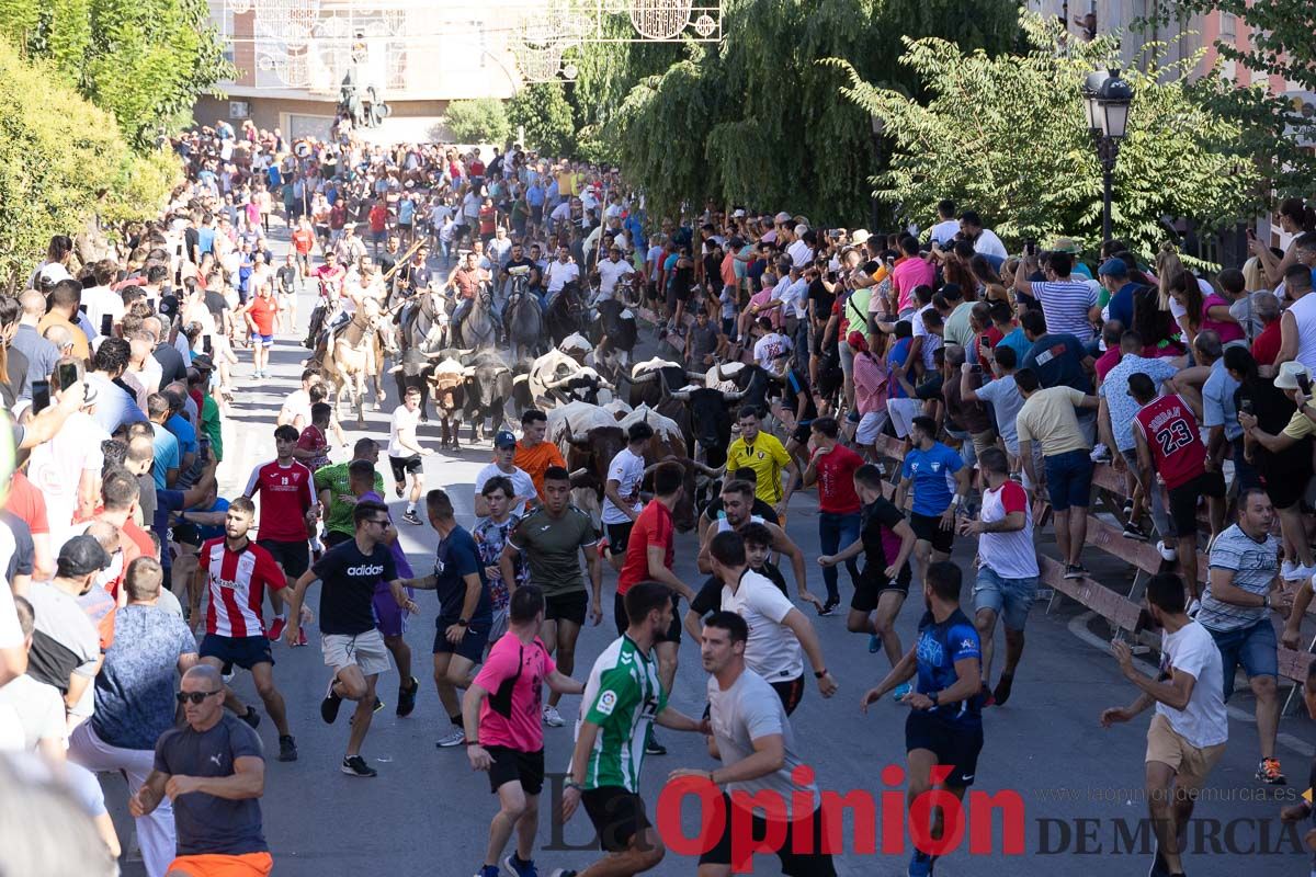 Último encierro en las Fiestas de Moratalla