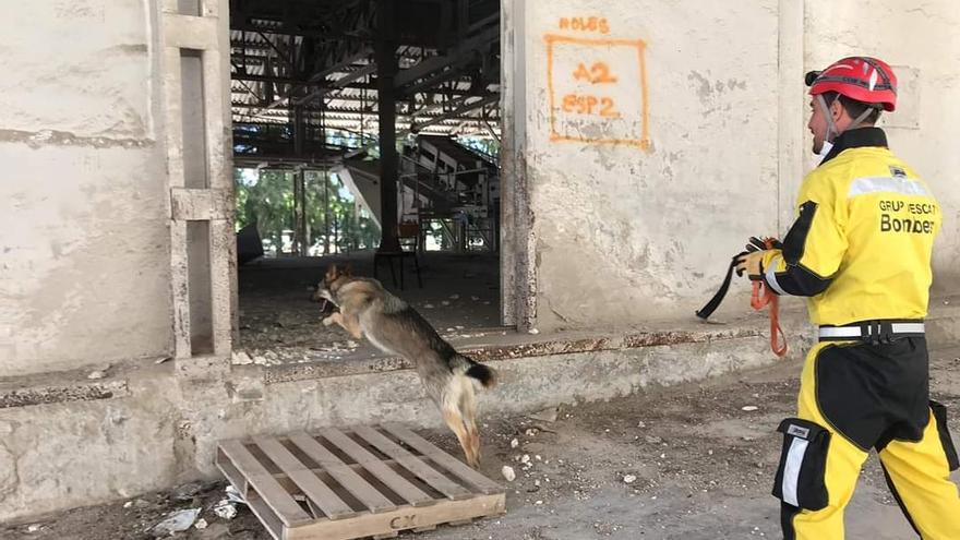 Un perro entra al rescate en una nave tras un incendio