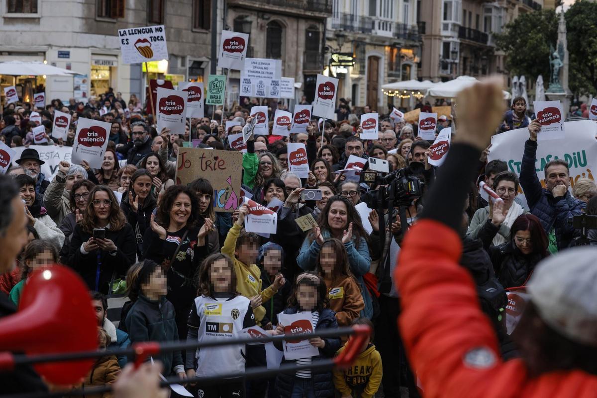 Carteles en defensa del valenciano levantados por los manifestantes.
