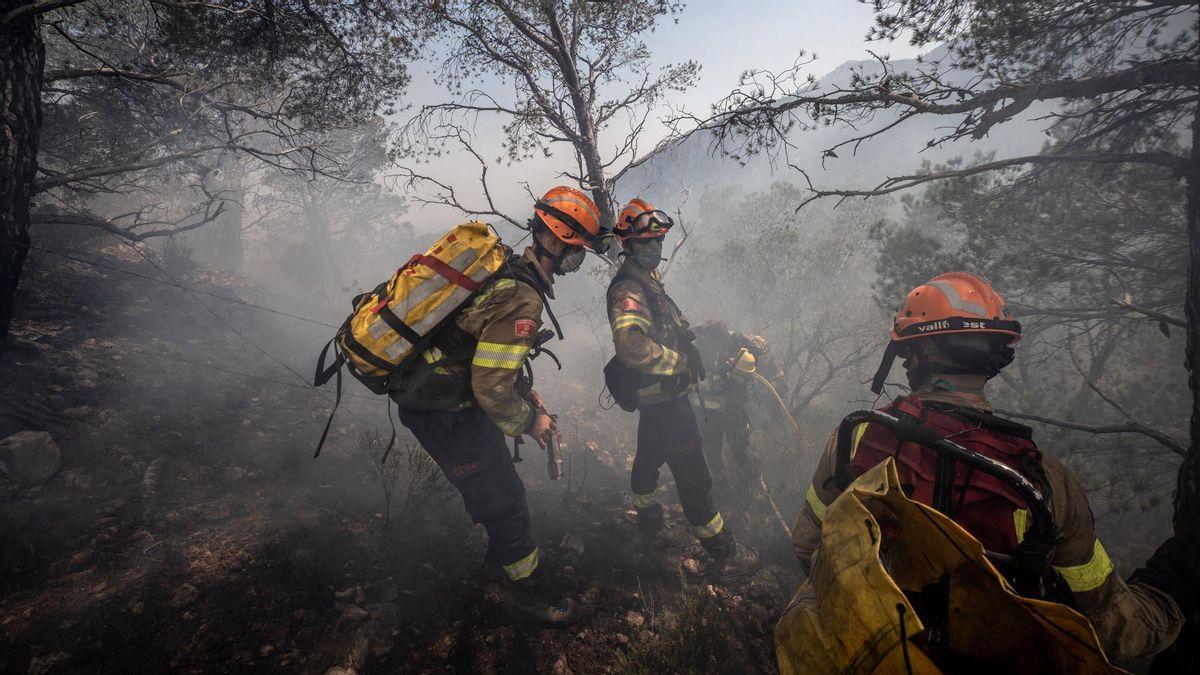 Los Bomberos dan por controlado el incendio de Paüls tras quemar 3.321 hectáreas Los Bomberos dan por controlado el incendio de Paüls tras quemar 3.321 hectáreas