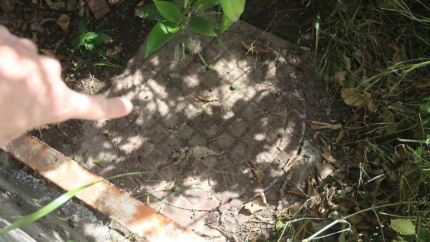 Detalle de un registro de Emasa, en el interior de una zona vallada.