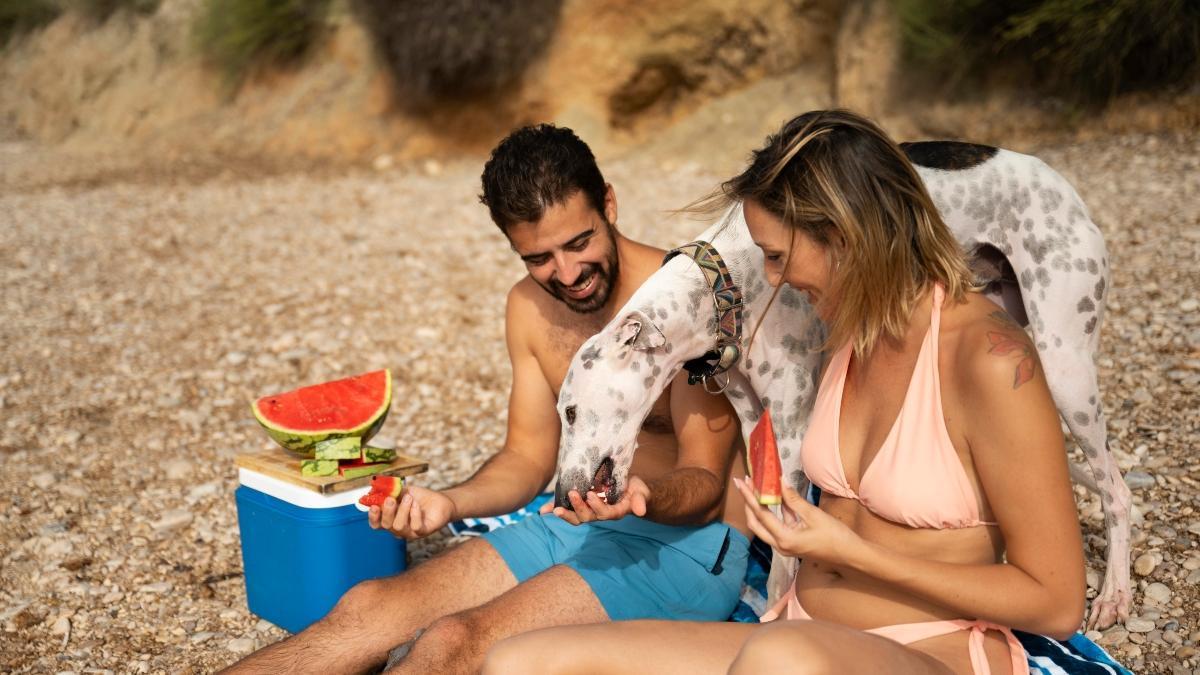 Menús saludables y sabrosos para pasar el día en la playa o disfrutar de un picnic