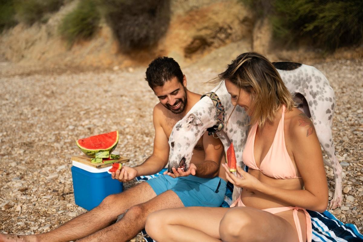 Menús saludables y sabrosos para pasar el día en la playa o disfrutar de un picnic