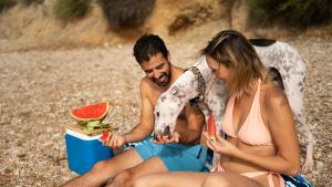 Menús saludables y sabrosos para pasar el día en la playa o disfrutar de un picnic