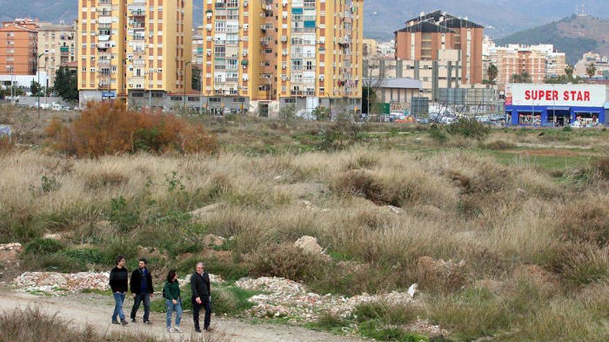 El pleno aprueba por sorpresa el bosque urbano en Repsol