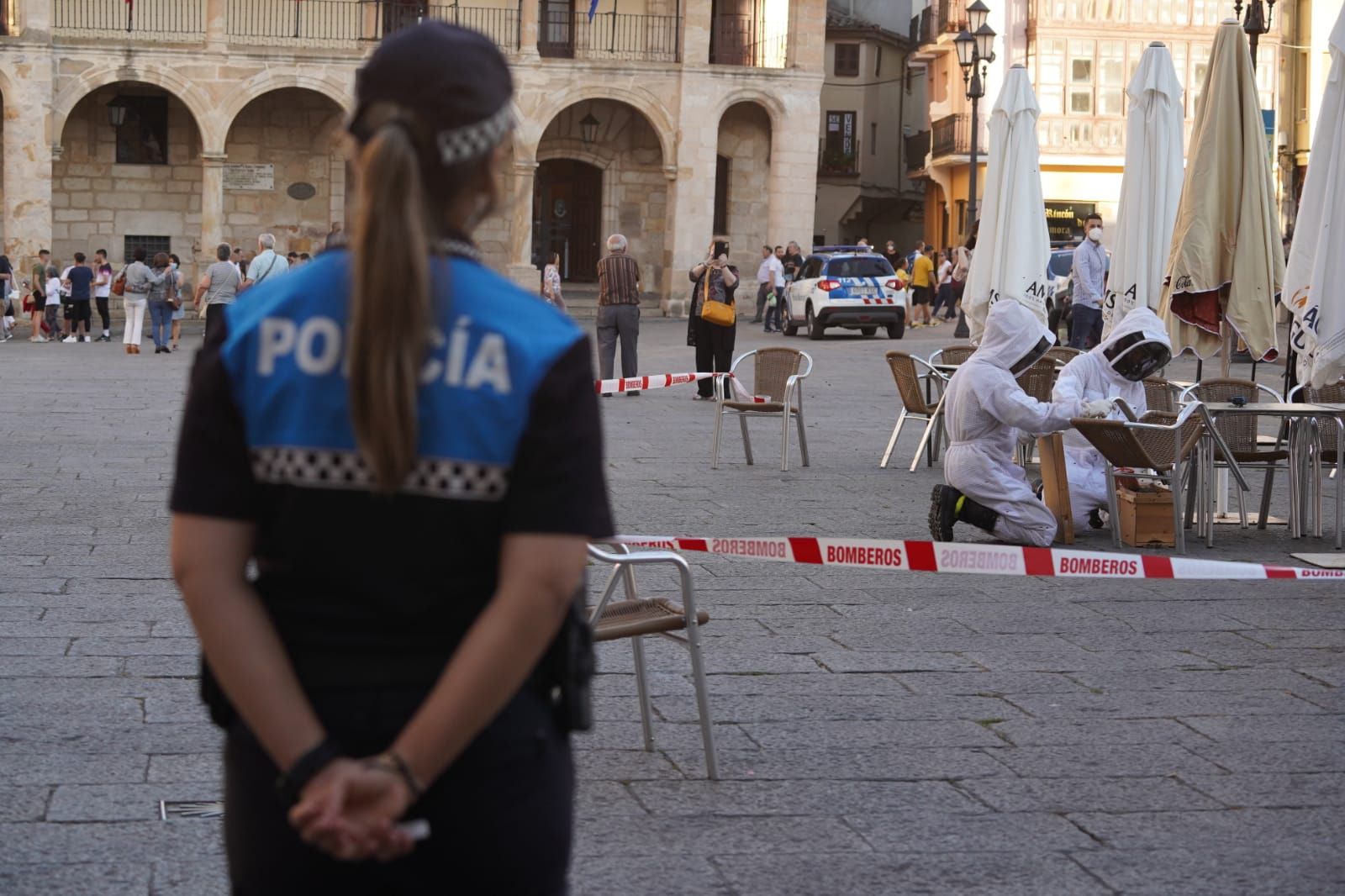 Los Bomberos de Zamora retiran un enjambre de abejas en la Plaza Mayor