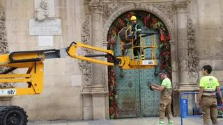 Alicante se viste de flores para recibir a las Hogueras