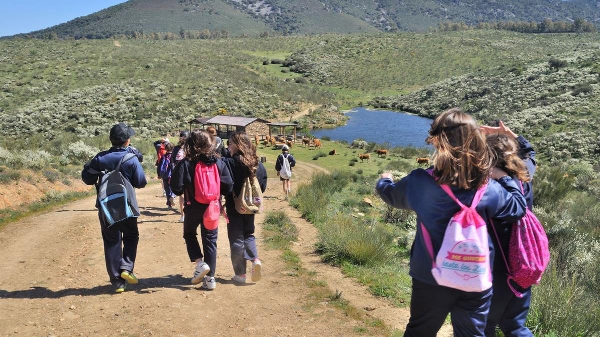 Un grupo de escolares participa en la última edición de las actividades.