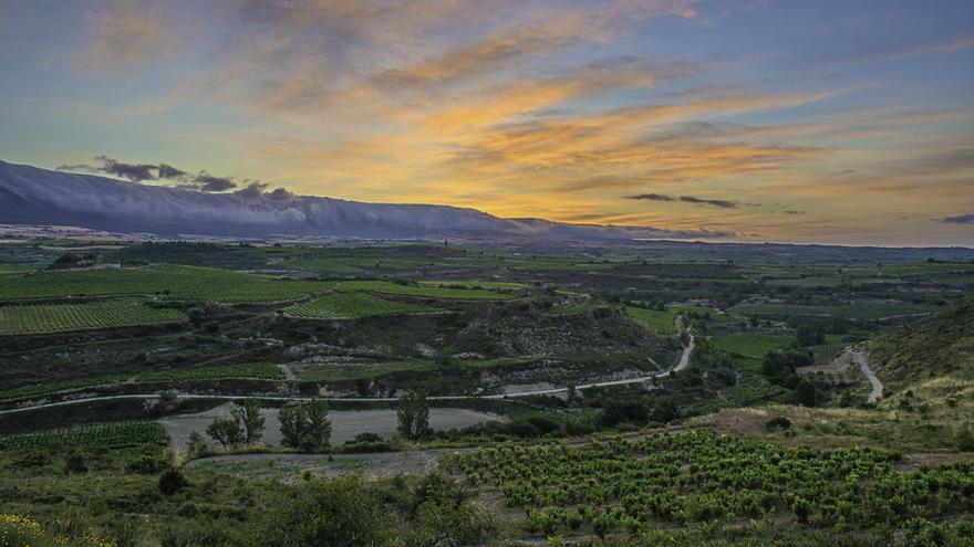 Una vista del celler Cosme Palacio de la Rioja.
