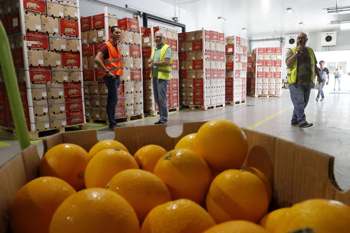 Cargamento de naranja de Sudáfrica con destino a la Unión Europea.