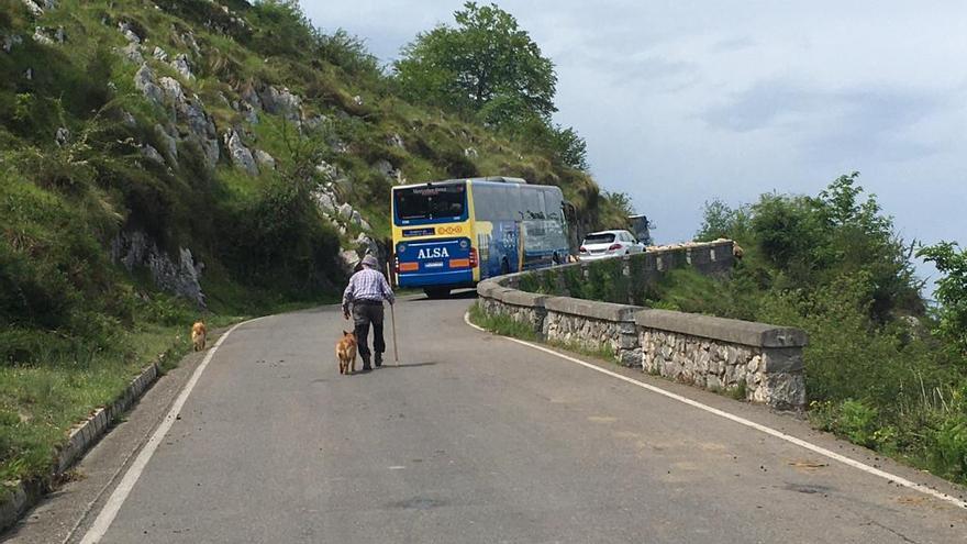 Suspendidos temporalmente los servicios de transportes a Los Lagos de Covadonga y la Ruta del Cares