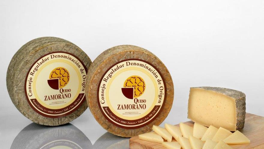 Queso del Consejo Regulador Queso Zamorano