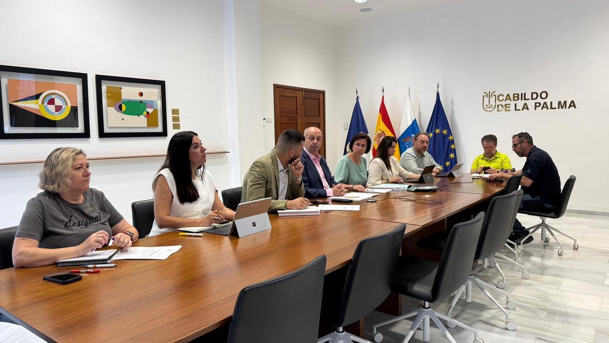 Comité asesor del Peinpal.