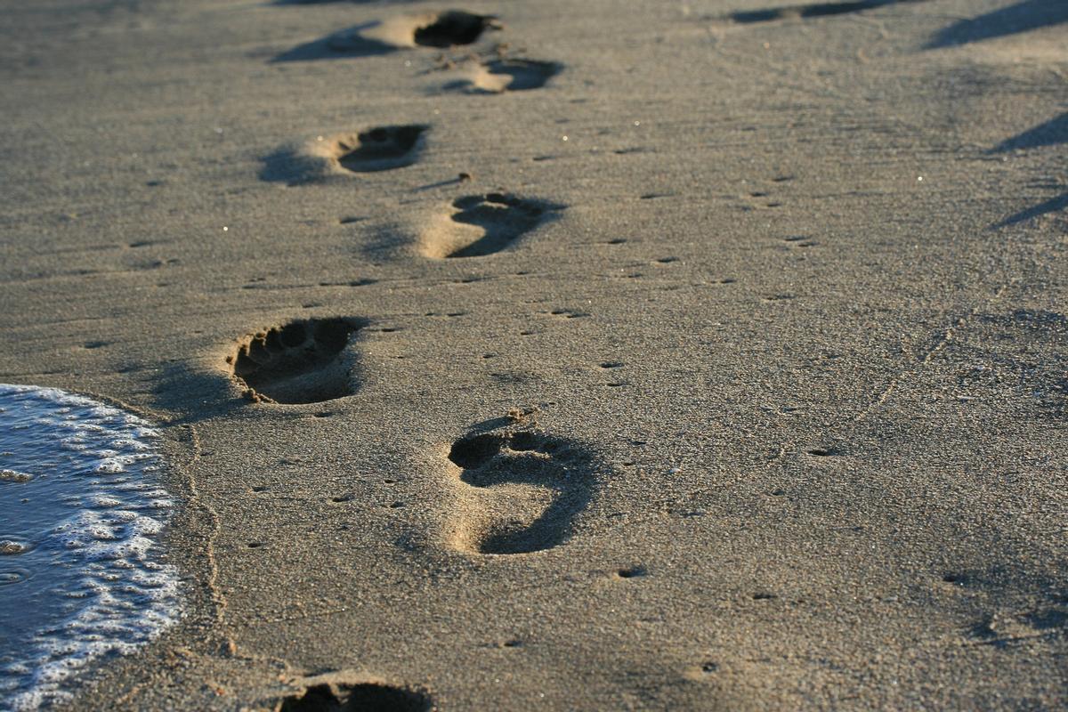 Incluso el ser humano deja rastro de su ADN continuamente; por ejemplo, al caminar descalzo por una playa.