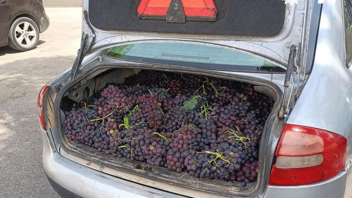 Frutas que la Policía de Murcia encontró en el interior del maletero del coche interceptado.