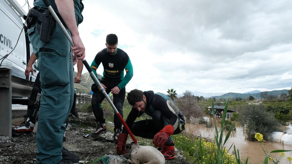 Inundaciones en Cártama tras desbordarse el Guadalhorce