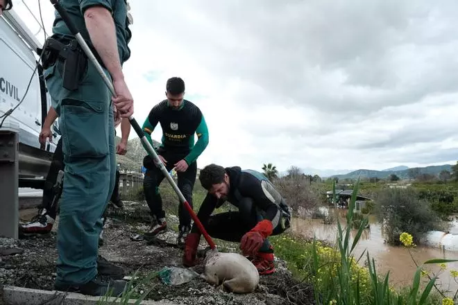 Inundaciones en Cártama tras desbordarse el Guadalhorce