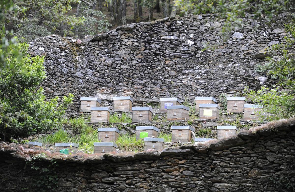 Alvariza de Acevedo de Ramón, en Zobra.