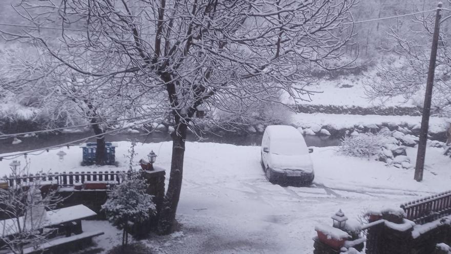 GALERÍA | La provincia de Zamora, cubierta por la nieve: cuidado en estas carreteras