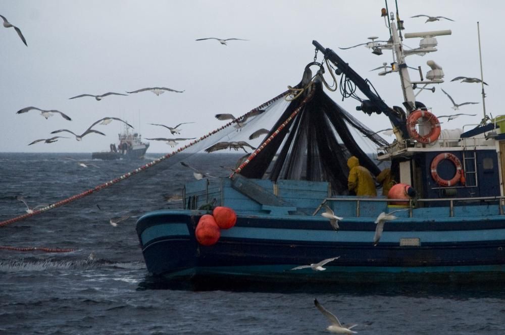 Jornada de pesca de bajura // I.Abella