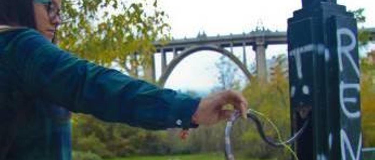 Cables eléctricos sueltos en una farola del cauce del río Riquer.