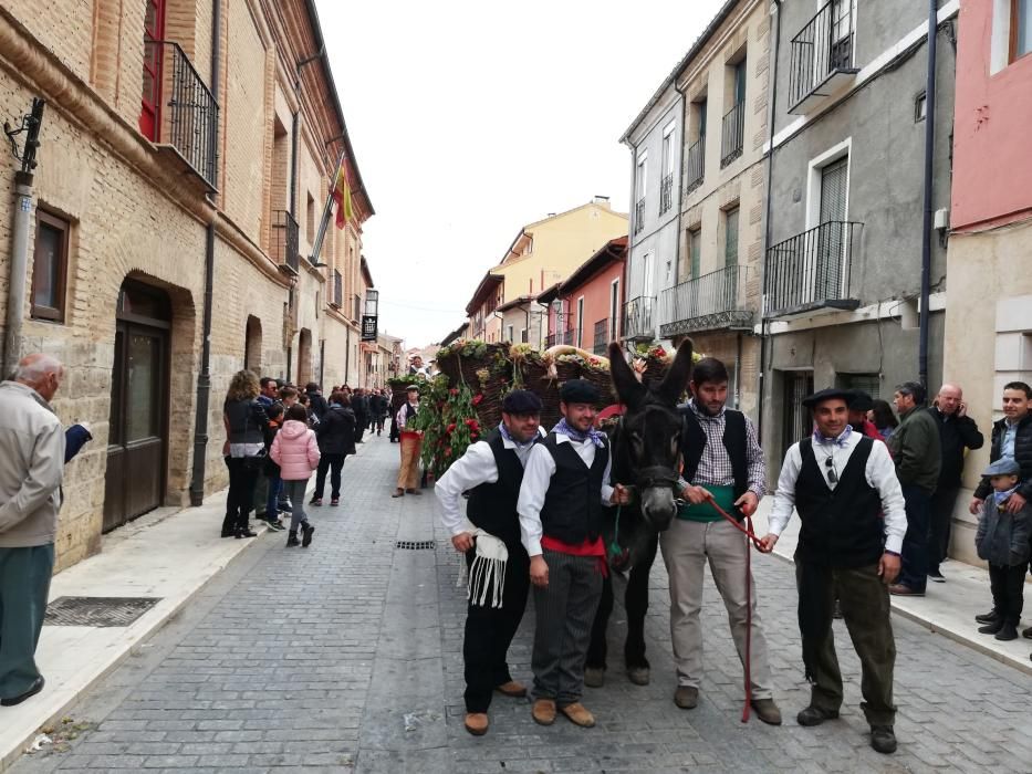 Desfile de carros de la Fiesta de la Vendimia