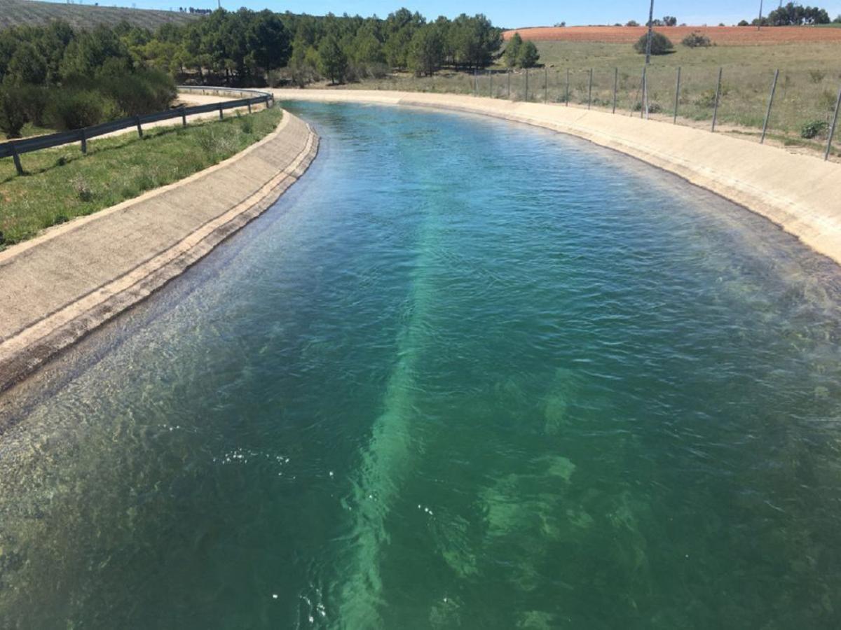 El agua, clave para el futuro