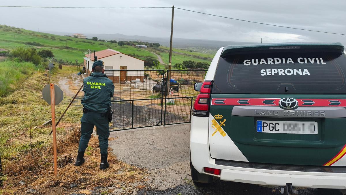 Un agente del Seprona observa la construcción ilegal en Santa Eufemia.