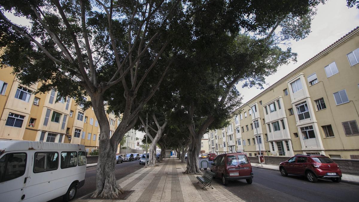 Avenida García Escámez