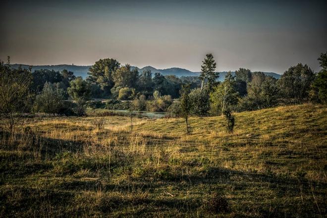 DESIERTOS: Arena de Deliblato, Serbia