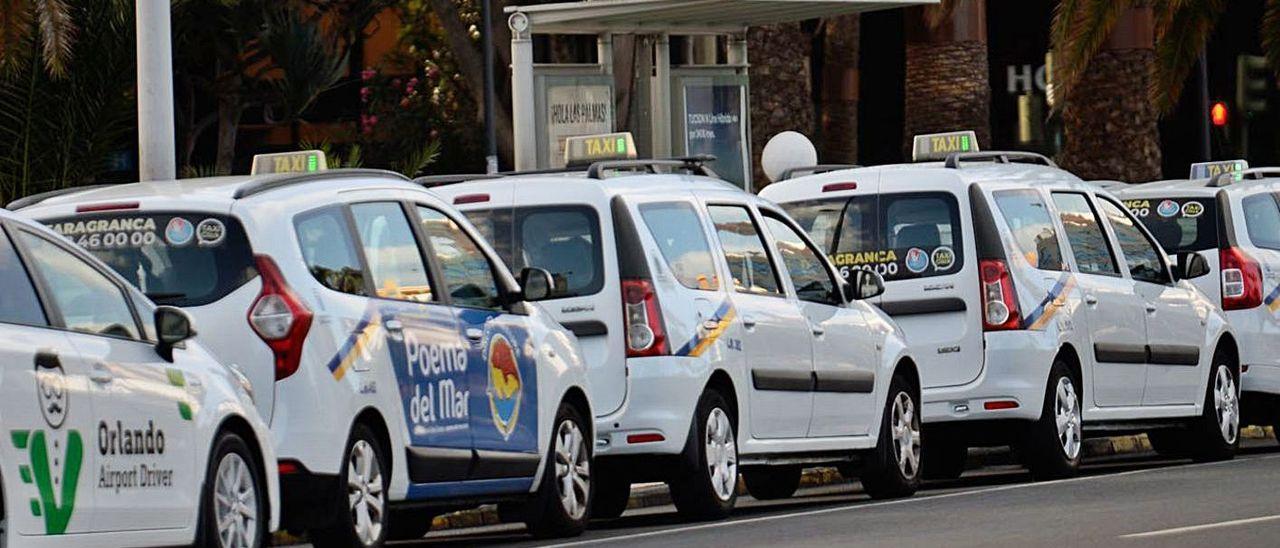 Los taxis de la capital se movilizan contra la suspensión del trabajo por turnos