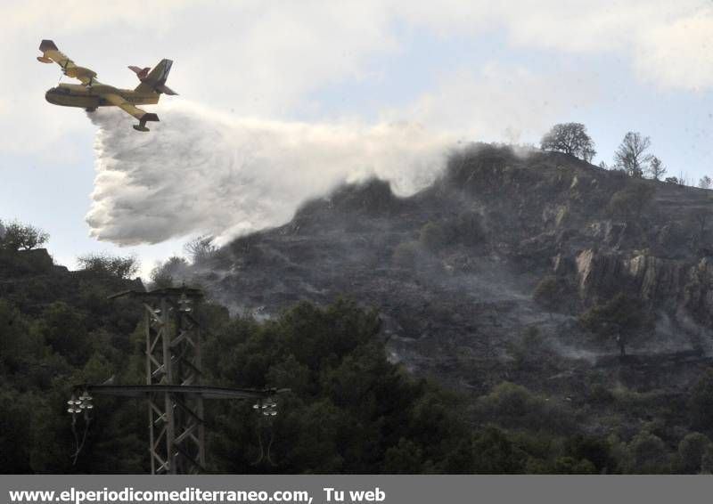 GALERIA DE IMÁGENES  - INCENDIO FORESTAL EN LA VALL