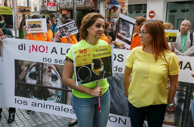 Protesta para prohibir el maltrato de animales