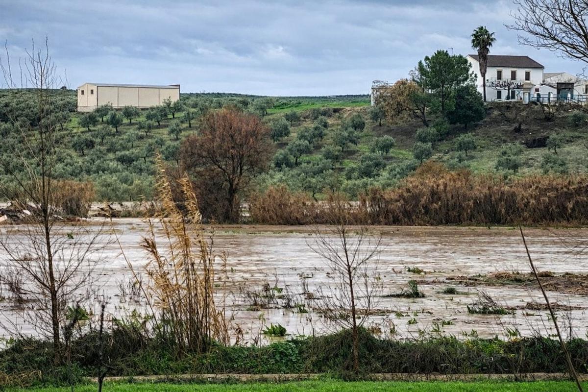 El río Cabra, desbordado a su paso por Huertas Bajas.
