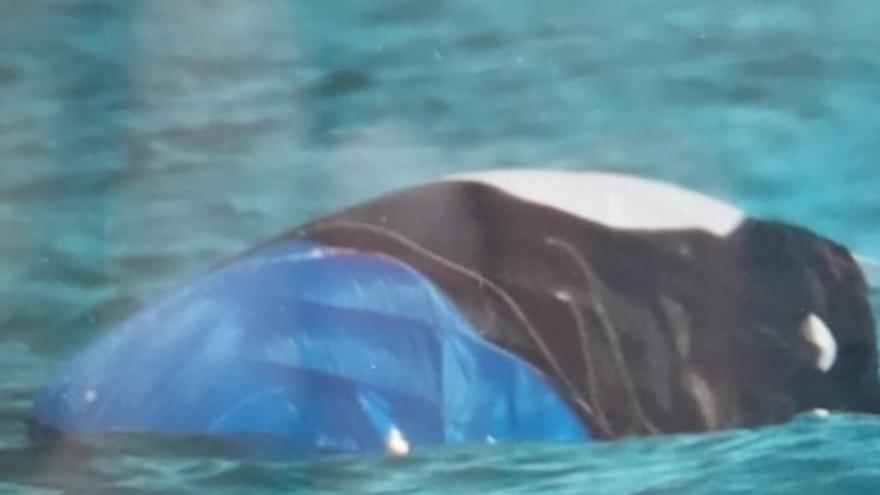 ¿Qué es el enorme bulto a la deriva en aguas de Fuerteventura?