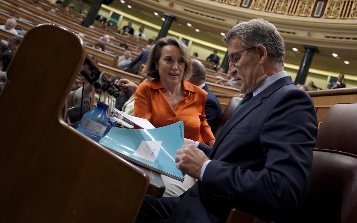 Sesión de control al Gobierno en el Congreso de los Diputados.