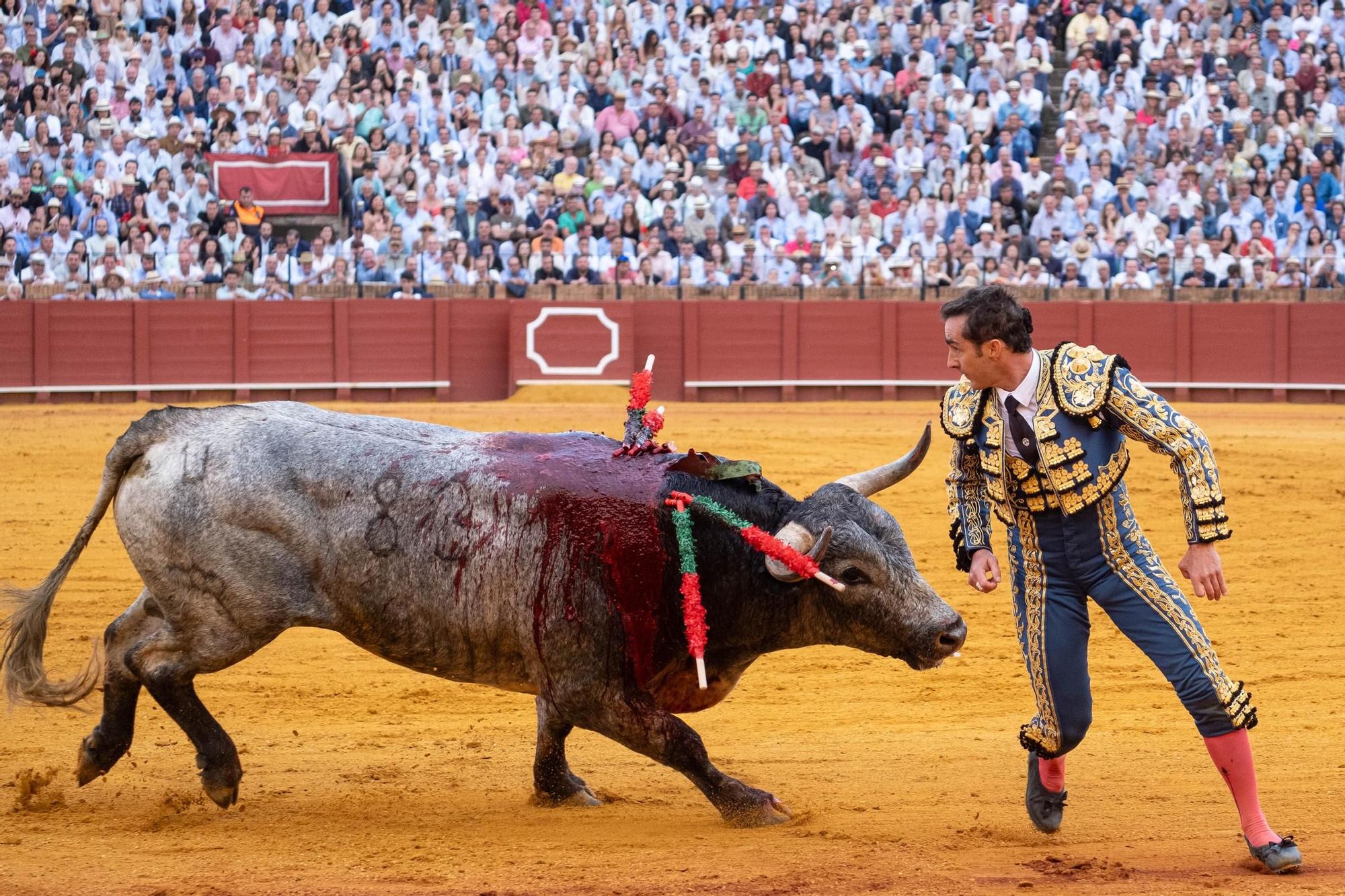 13. El Fandi recortando al Miura en banderillas.jpg