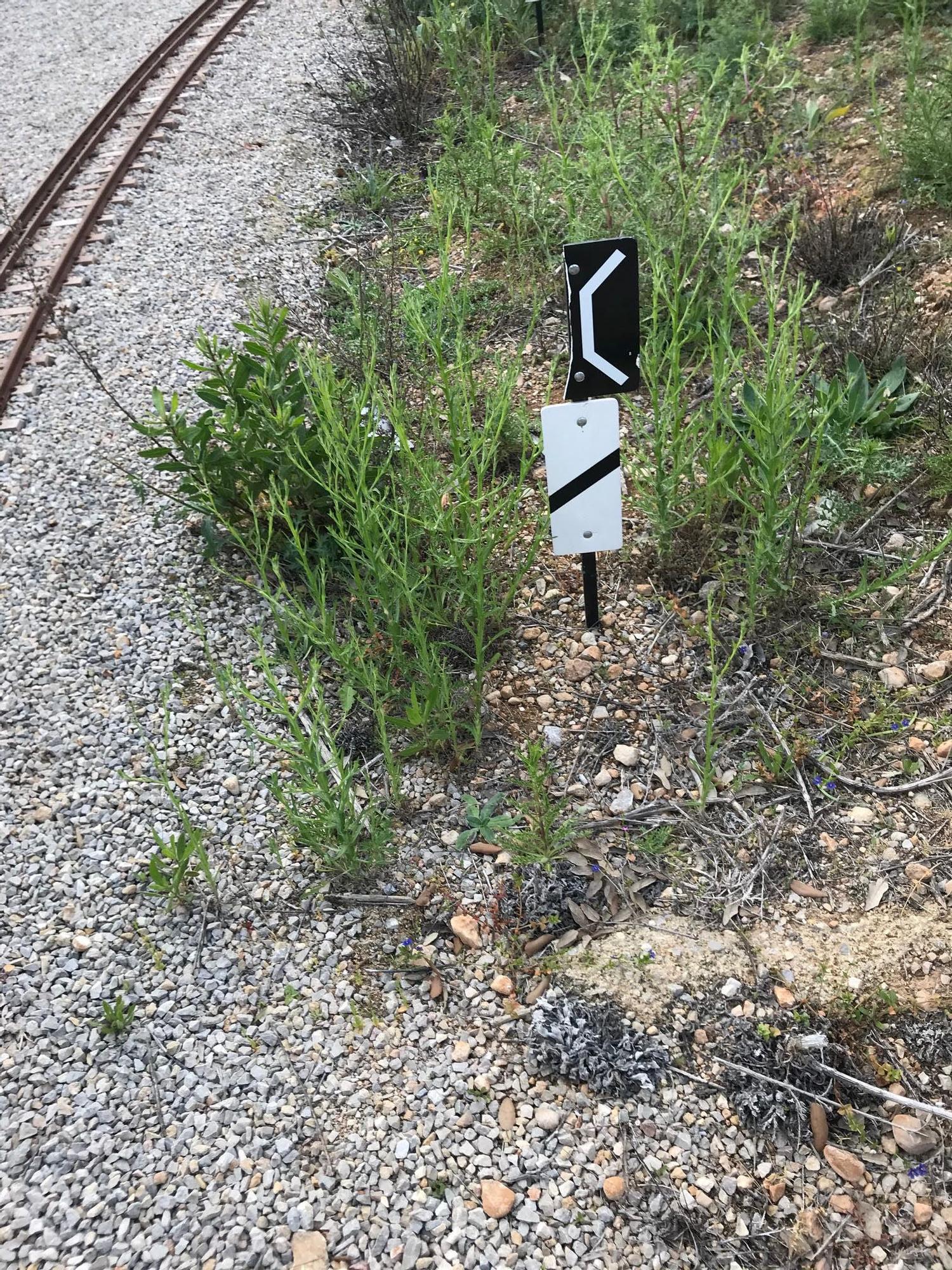 Actos vandálicos contra el museo del parque ferroviario de Marratxí