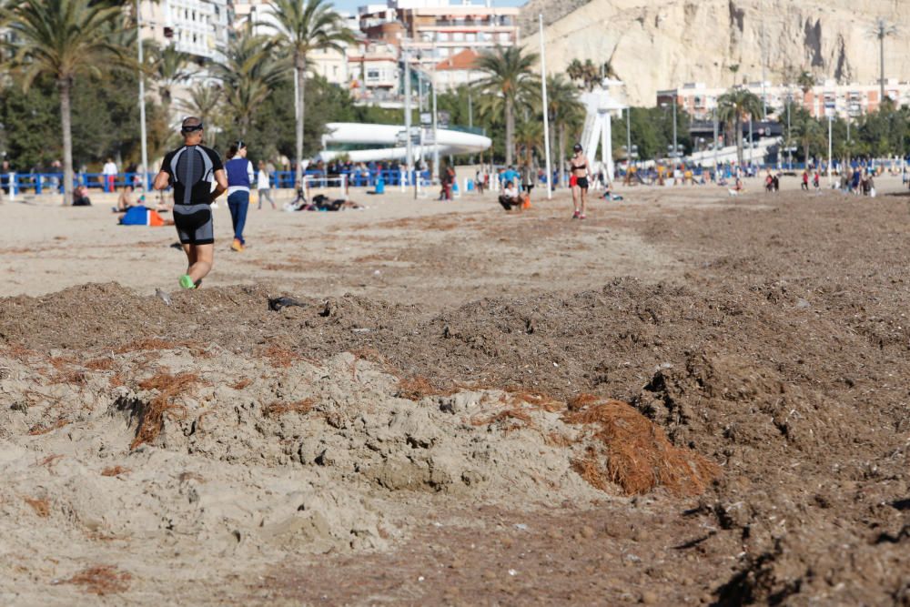 Alicantinos y turistas disfrutan a 20 grados de un