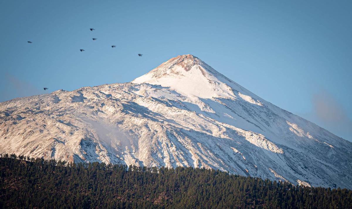 El mal tiempo deja nieve en el Parque Nacional del Teide (fotos 1 y 2) y escorrentías en los barrancos, como los que se registraron en el barrio de Tío Pino de la capital tinerfeña (3). | ARTURO JIMÉNEZ