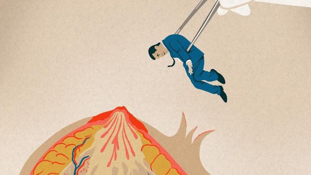 El resultado de la mamografía.