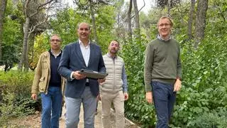 Inteligencia Artificial y patrimonio natural: el plan de Madrid para gestionar zonas verdes con IA