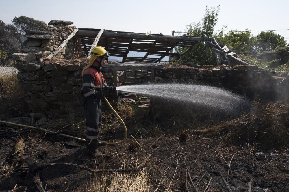 La oleada de incendios azota Ourense - La conselleira de Medio Rural denuncia la elevada actividad incendiaria de este fin de semana, con más de 20 focos en la provincia. El fuego de Trives, con 164 h