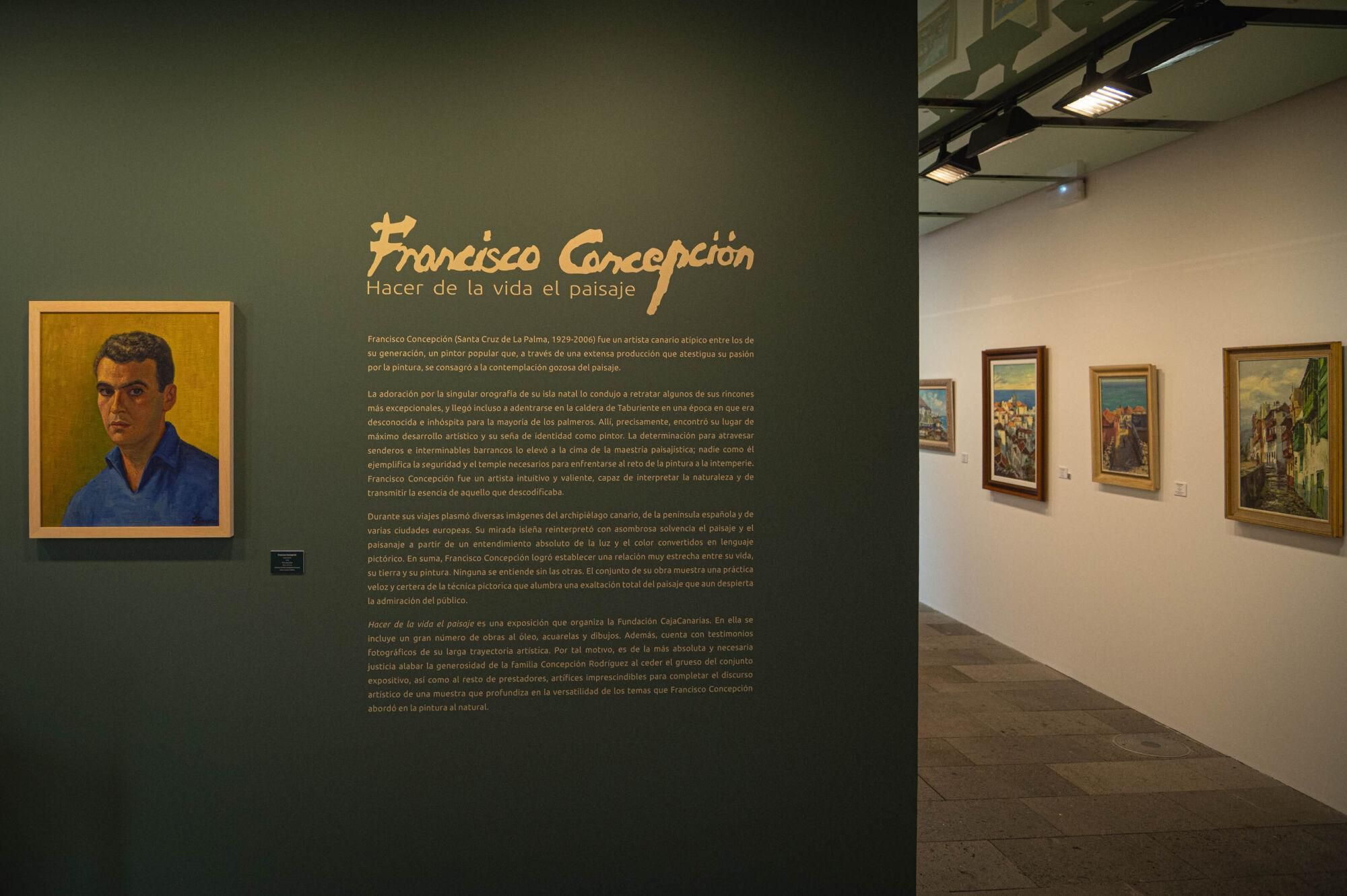 Exposición 'Francisco Concepción. Hacer de la vida el paisaje'

 